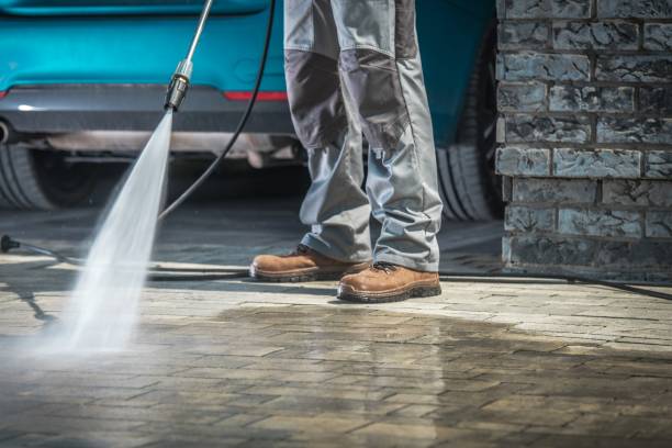 Best Soft Washing for Delicate Surfaces in Grayson, GA