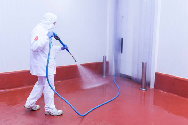 Best Deck and Patio Pressure Washing in Grayson, GA